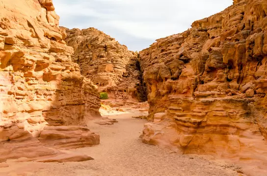 Safari Trip to Colored Canyon in Nuweiba